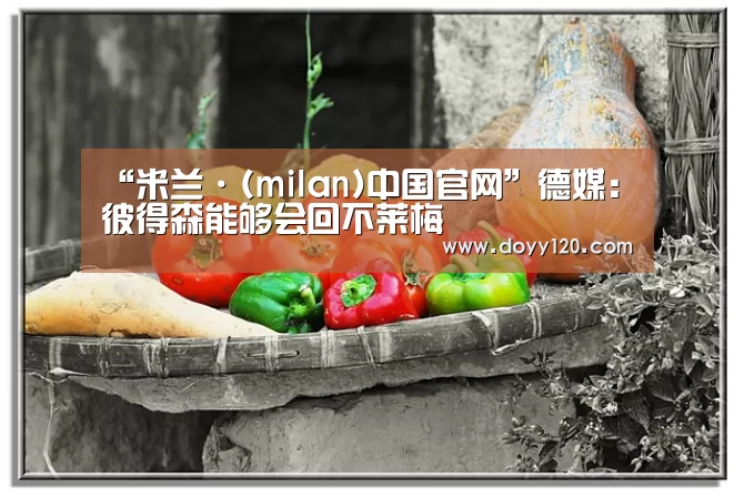 “米兰·(milan)中国官网”德媒:彼得森能够会回不莱梅(图2) 米兰官方网站