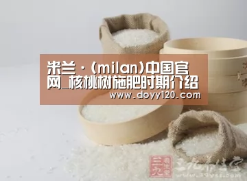 milan米兰