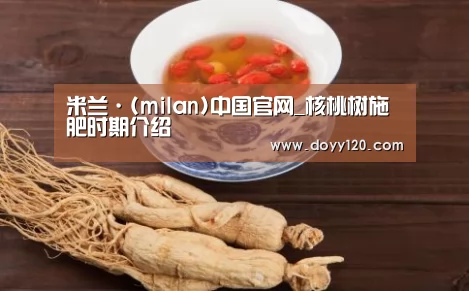 milan米兰