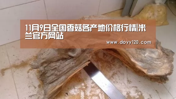 米兰官方网站