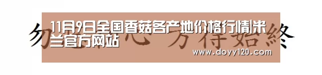 milan米兰