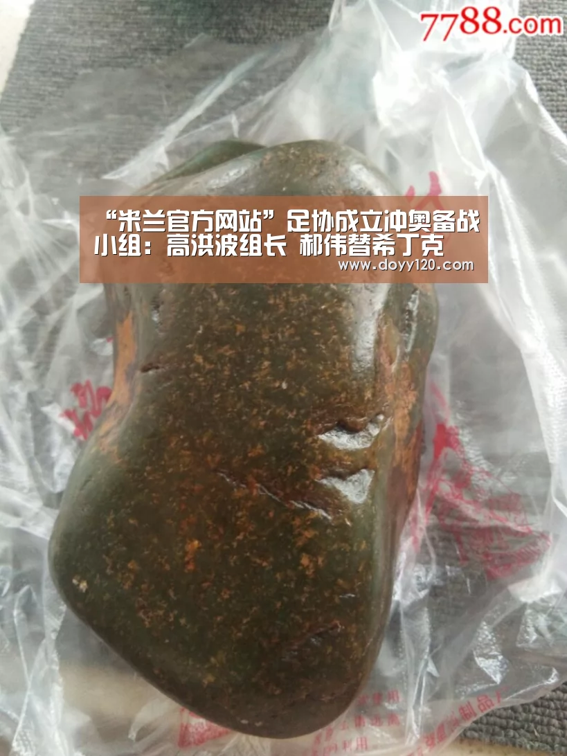 “米兰官方网站”足协成立冲奥备战小组:高洪波组长 郝伟替希丁克(图2) milan米兰